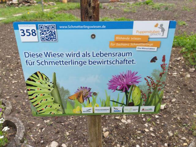 Bild "Fotogalerie:3_Schmetterlingswiese.JPG"