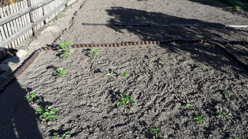 Bild "Fotogalerie:7.JPG"