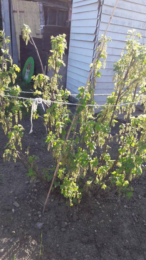 Bild "Fotogalerie:8.JPG"