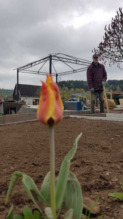 Bild "Fotogalerie:K640_20200425_123234.jpg"