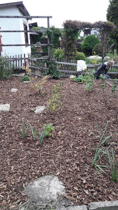 Bild "Fotogalerie:oberer_garten_1.jpg"