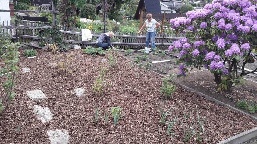 Bild "Fotogalerie:oberer_garten_3.jpg"